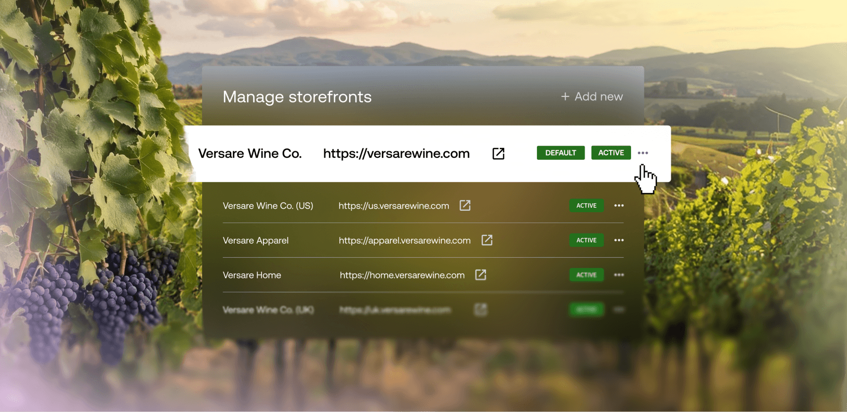 Verwaltung der storefront-Dashboard-Überlagerung mit einem Weinberg-Hintergrund, der die Domäneneinstellungen von Versare Wine Co zeigt.