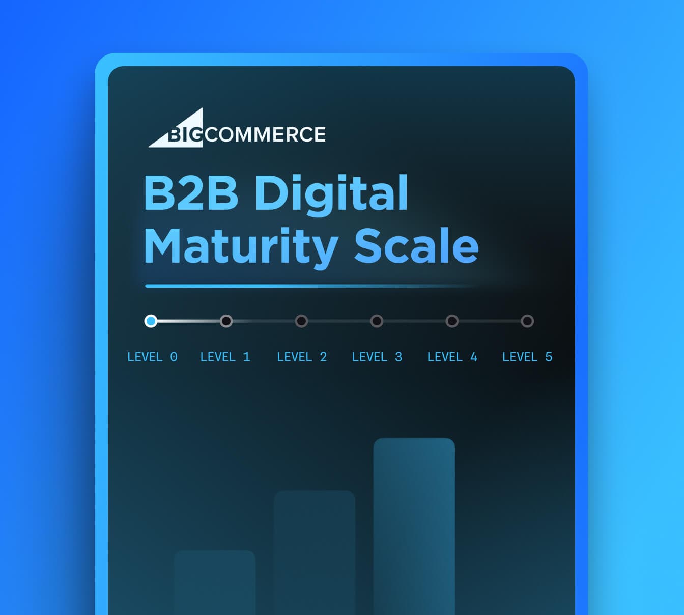 Digital Maturity Assessment